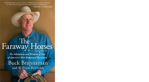 book cover The Faraway Horses